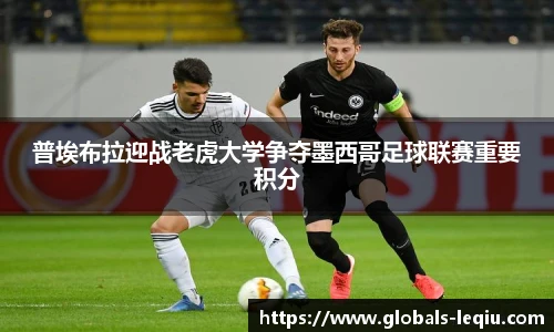 普埃布拉迎战老虎大学争夺墨西哥足球联赛重要积分